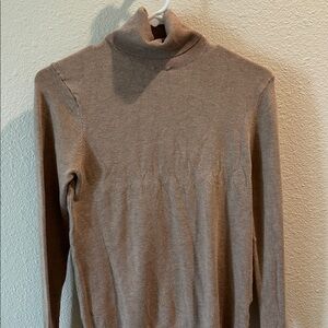 Zara Taupe Knit Turtleneck